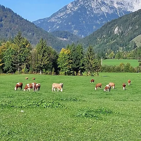 Apartment Ferienwohnung Alpenluft Hochfilzen